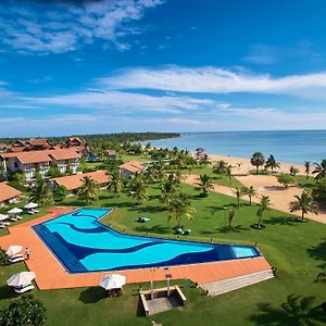 The Calm Resort & Spa
